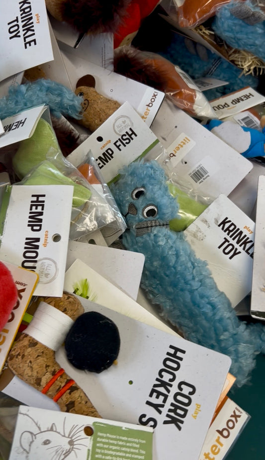 Cat Toy Bundle